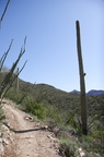 Tucson-Esperero Trail 10